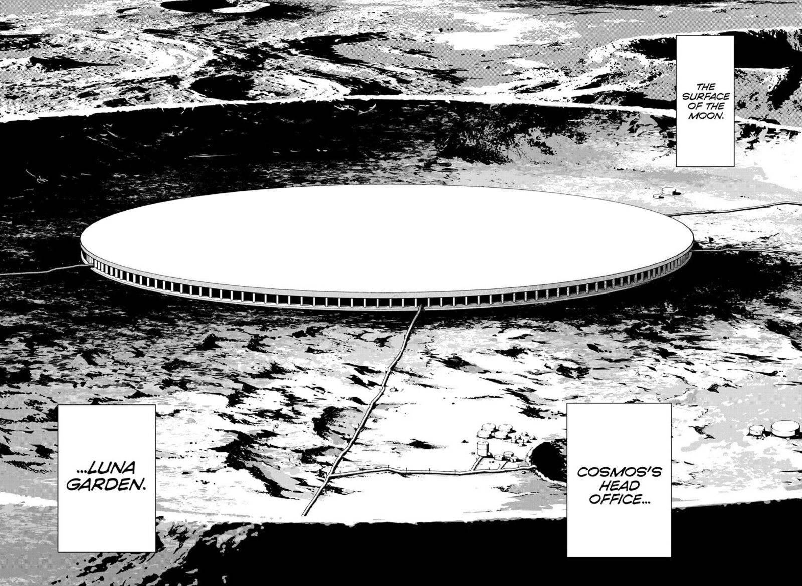 Cosmos Tamura Ryuuhei 35 2