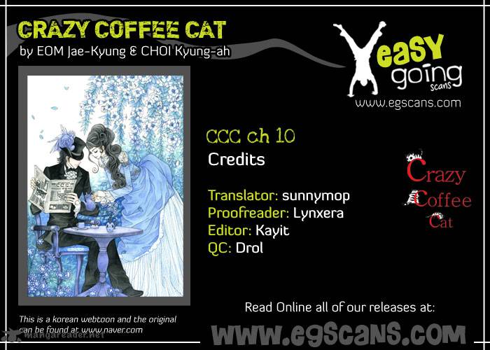 Crazy Coffee Cat 10 1