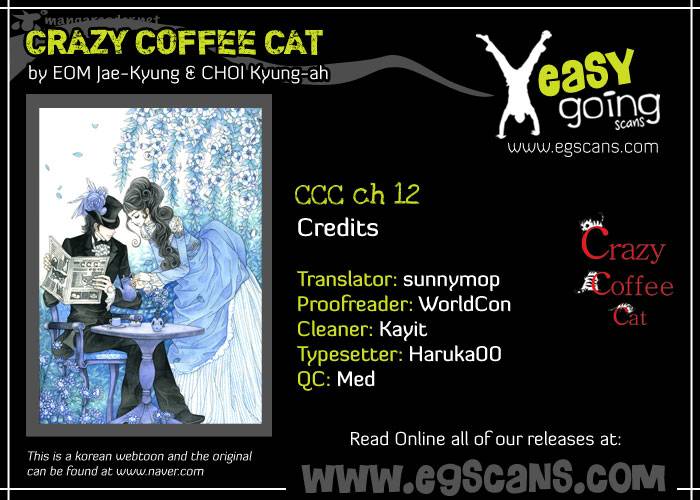 Crazy Coffee Cat 12 1