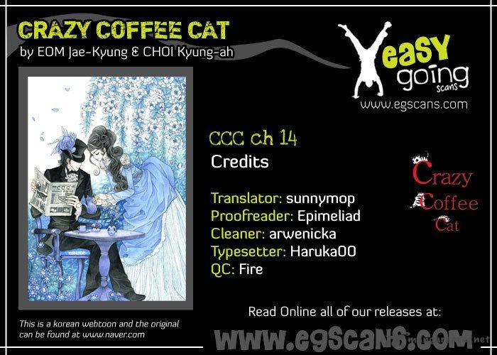 Crazy Coffee Cat 14 1