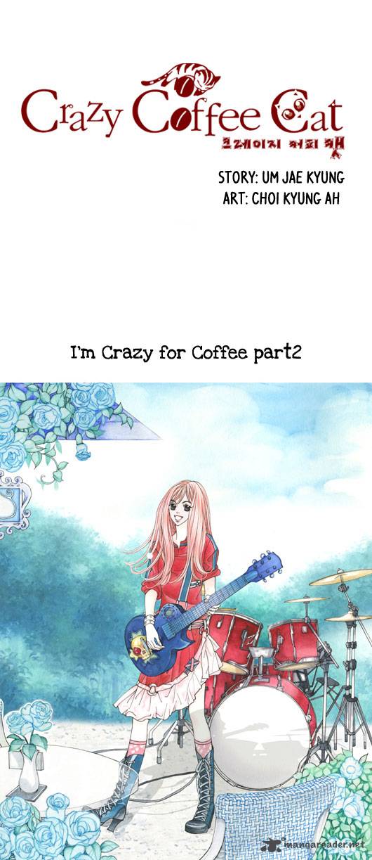 Crazy Coffee Cat 2 3