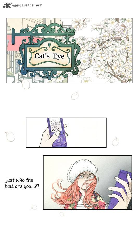 Crazy Coffee Cat 3 12