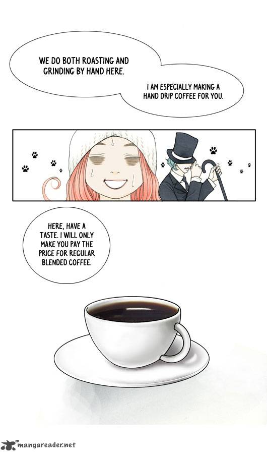 Crazy Coffee Cat 3 23
