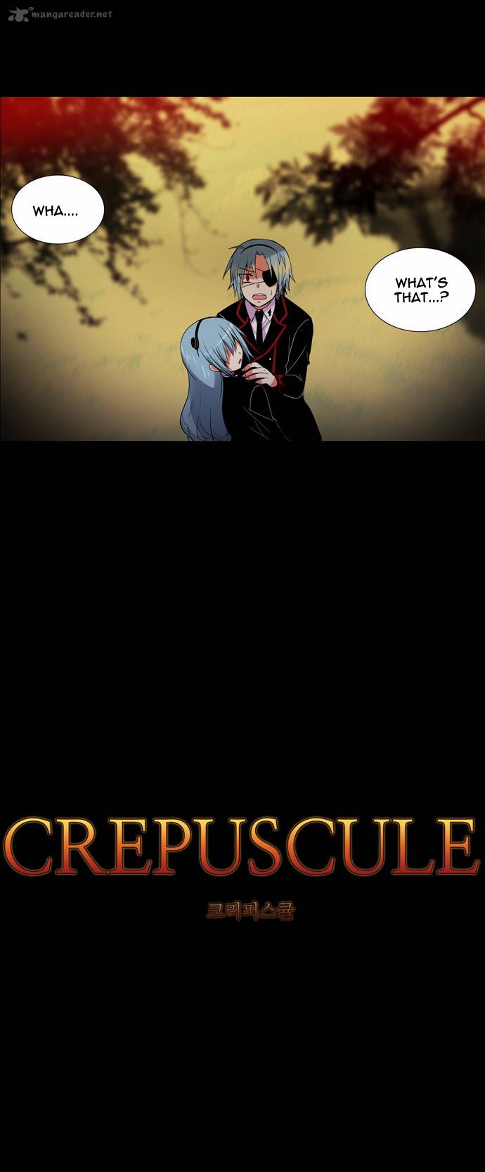 Crepuscule 96 8