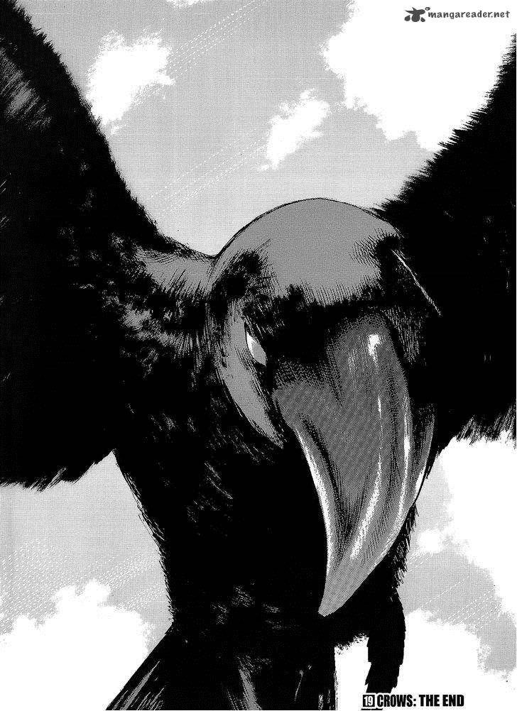 Crows 95 54