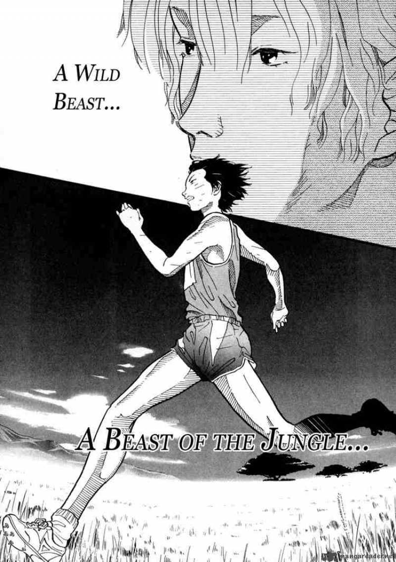 D Ash 37 15