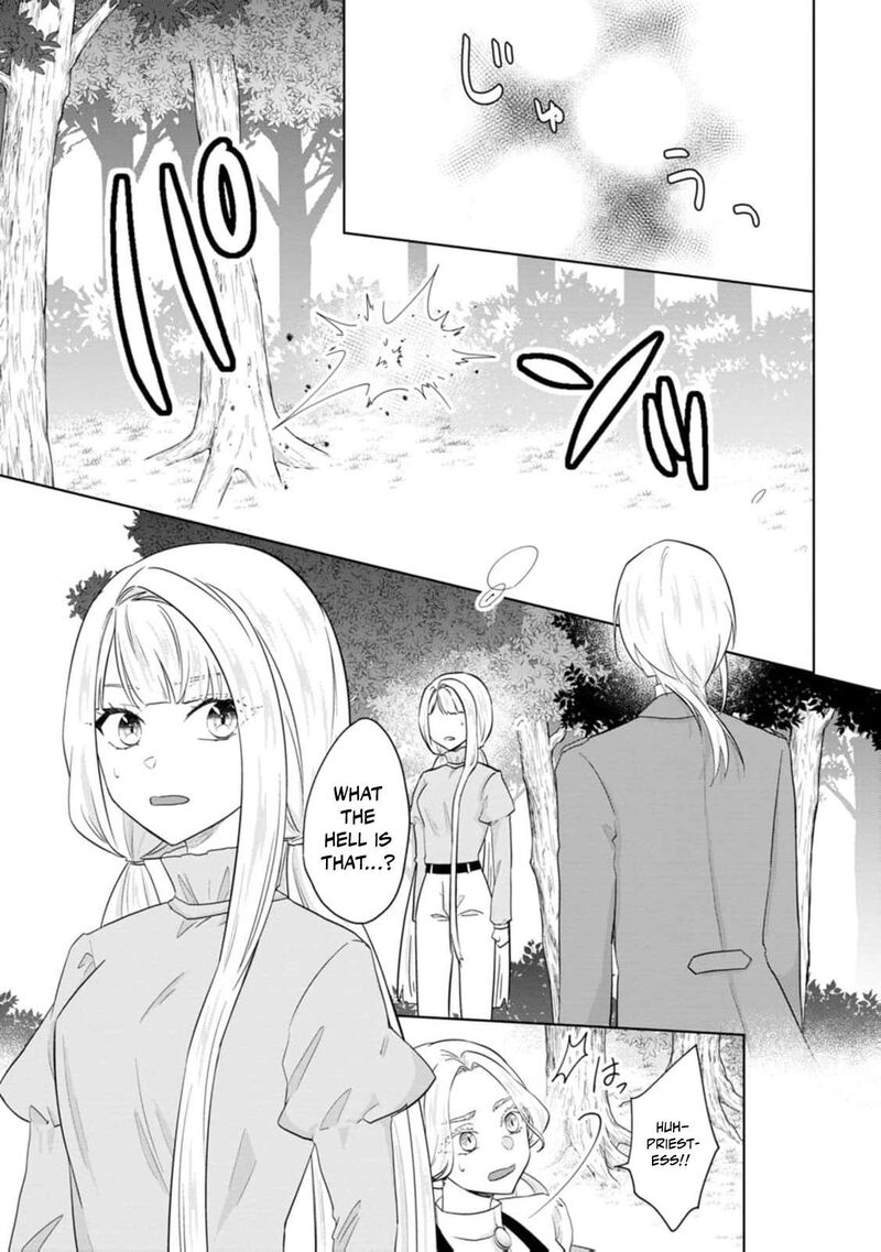 Danzaisareteiru Akuyaku Reijou To Irekawatte Konyakusha Tachi Wo Buttobashitara Dekiai Ga Matte Imashita 27 24