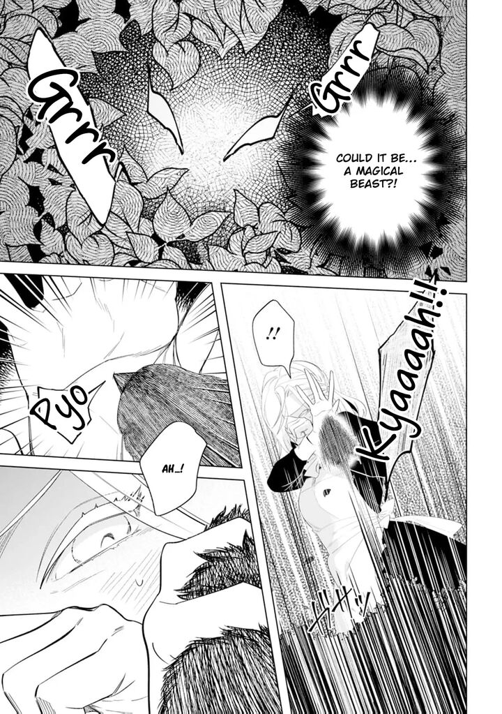 Dare Ni Mo Aisarenai No De Yuka Wo Migaite Itara Soko Ga SeIIki Ka Shita Reijou No Hanashi 8 5