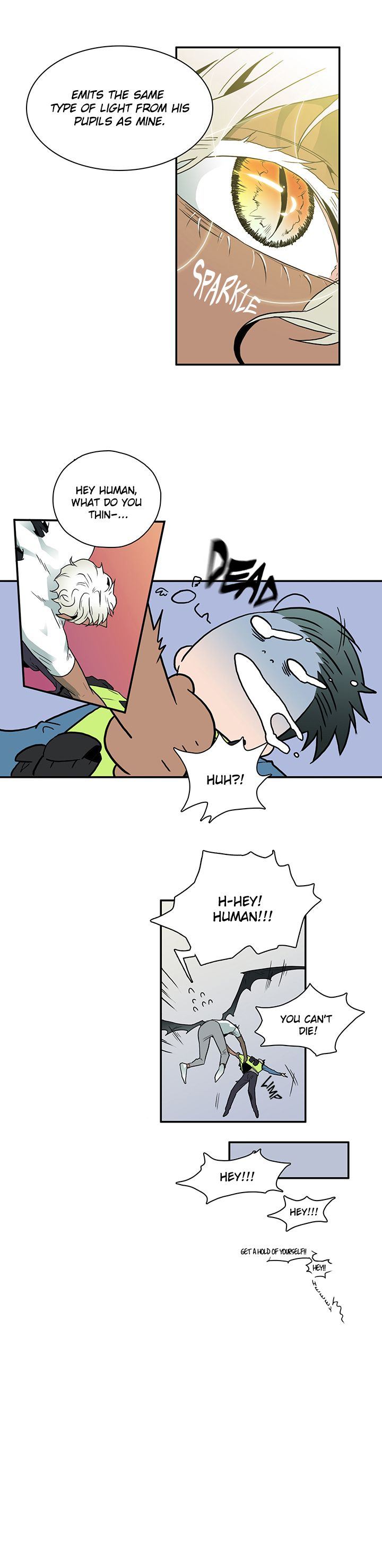 Dear Door 6 4