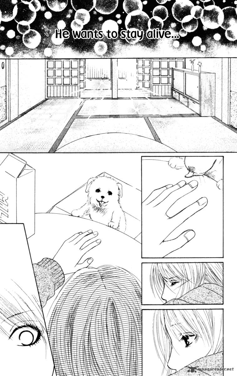 Deep Love Ayu No Monogatari 1 47