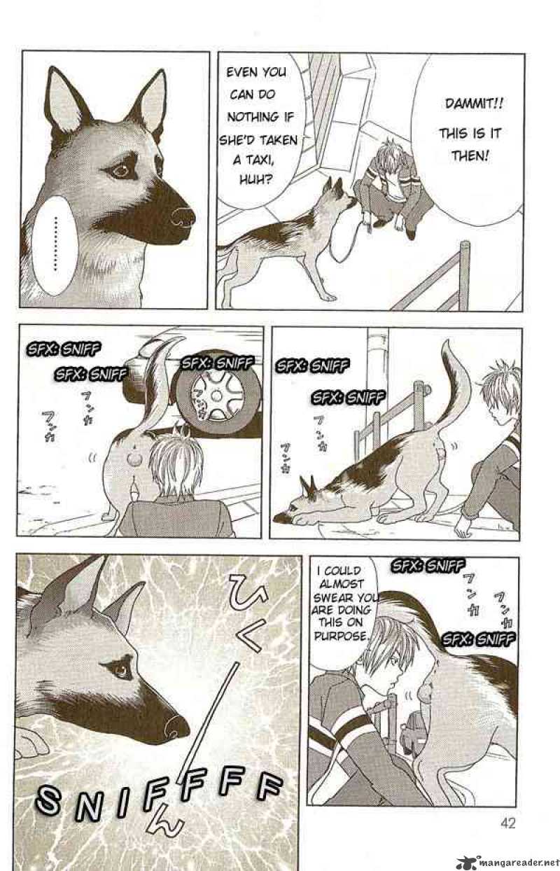 Deka Wanko 12 5