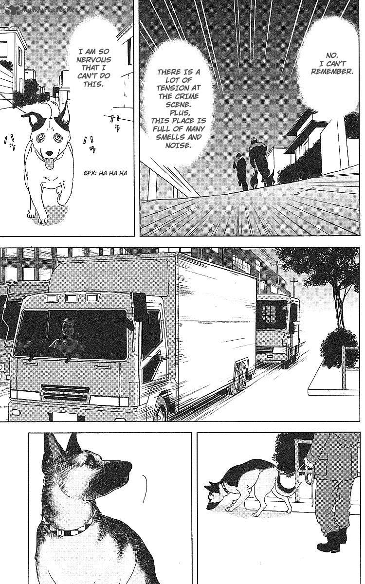 Deka Wanko 46 17