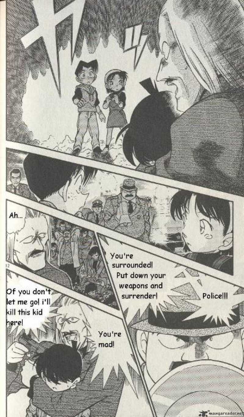 Detective Conan 253 12