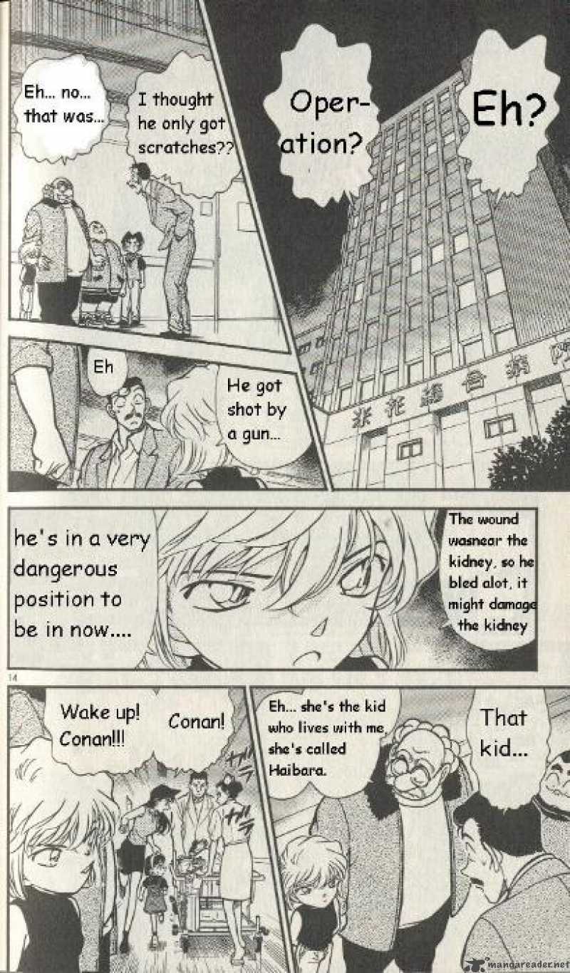 Detective Conan 253 14