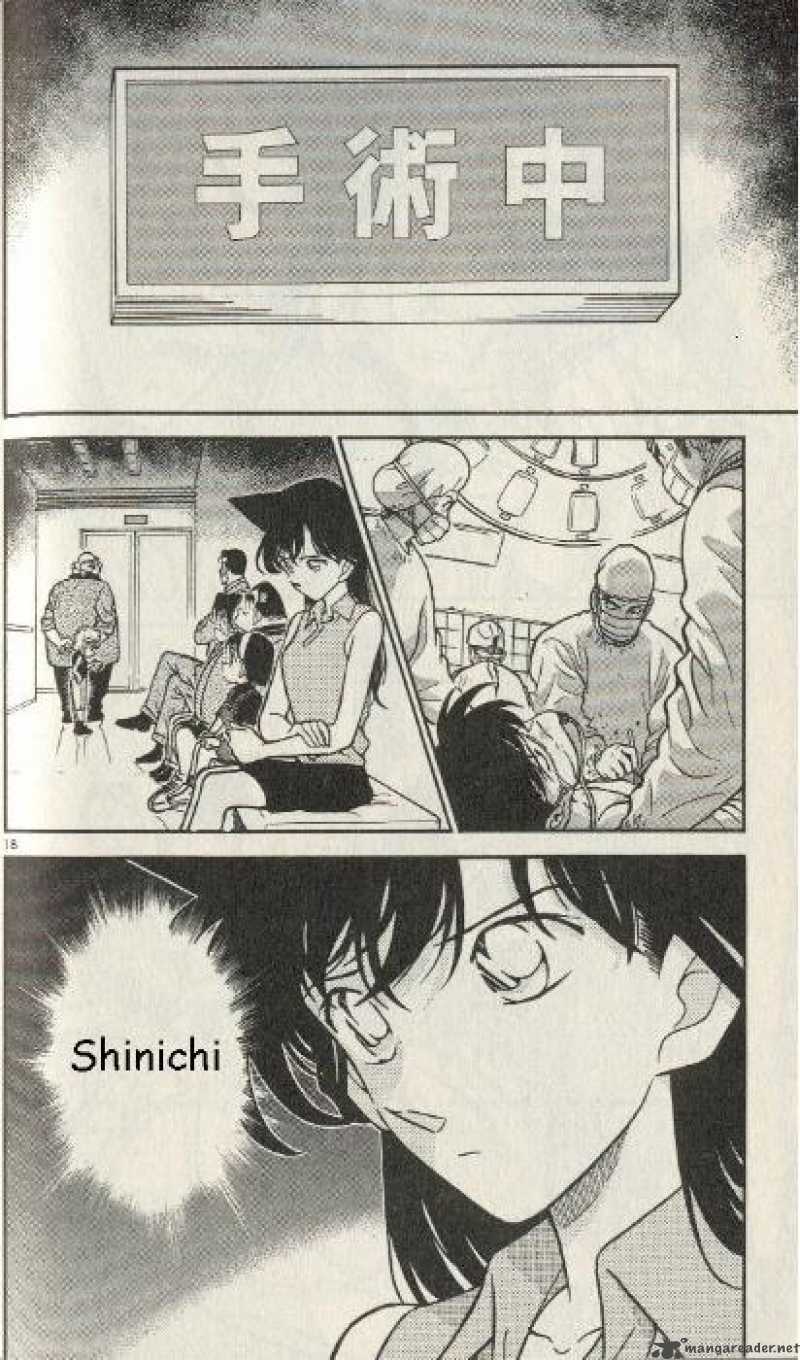 Detective Conan 253 18
