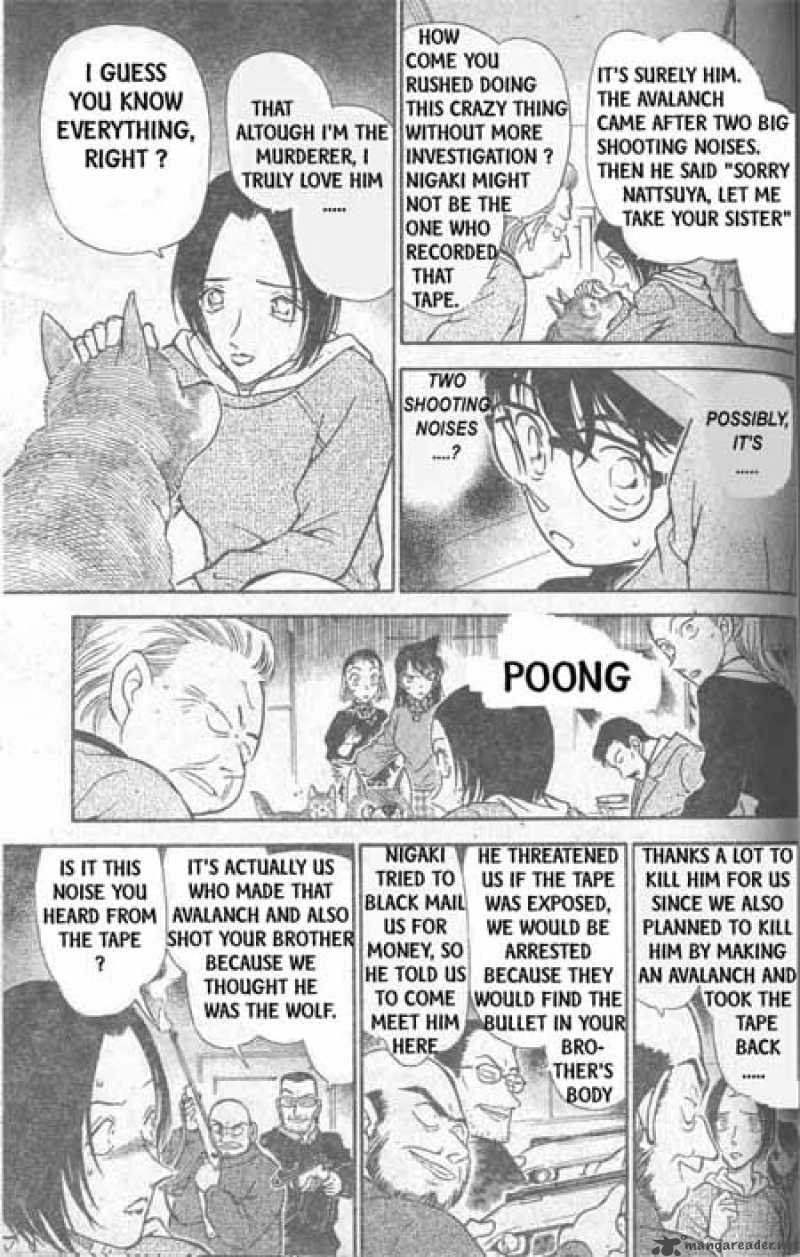 Detective Conan 334 8