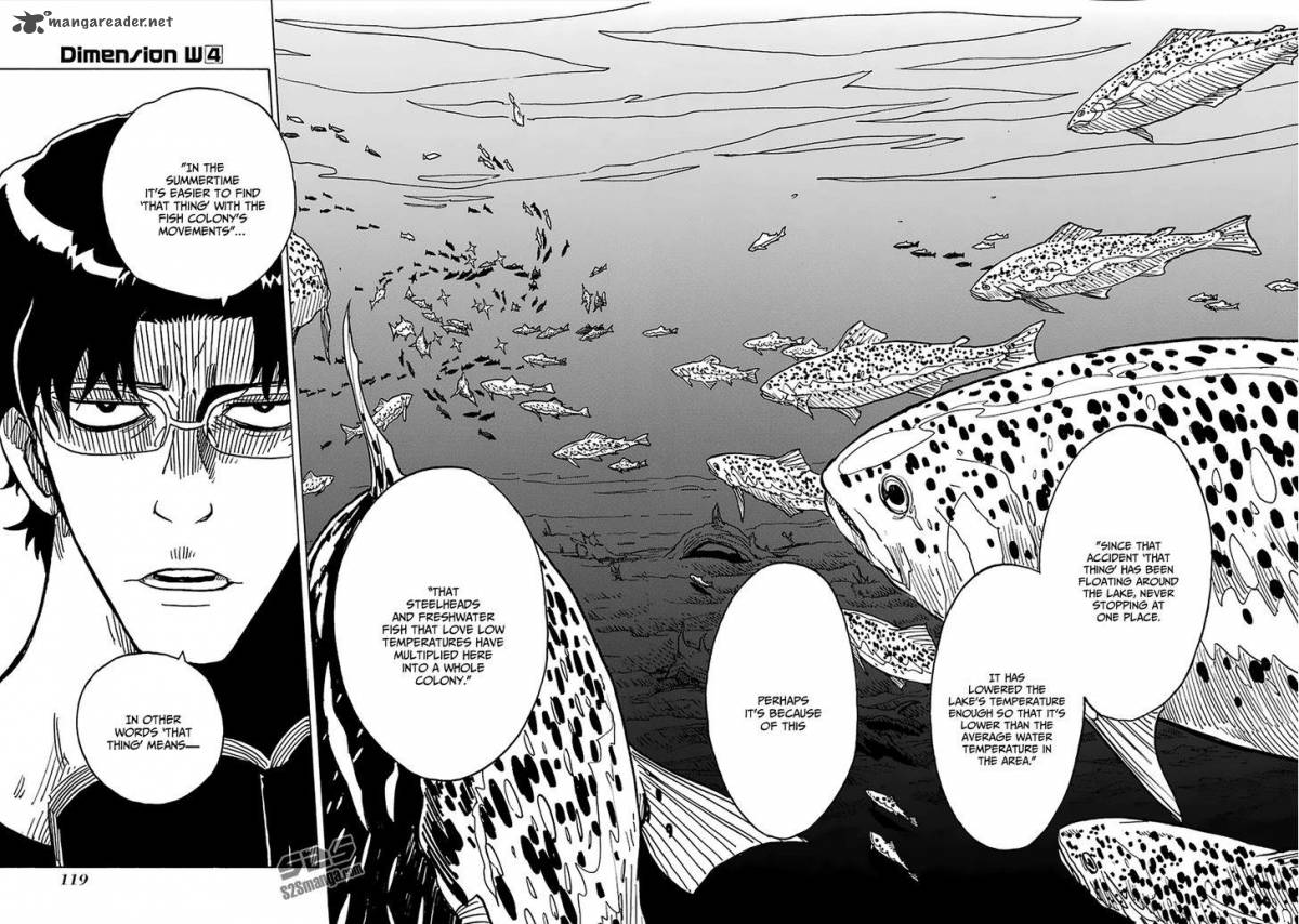 Dimension W 28 17