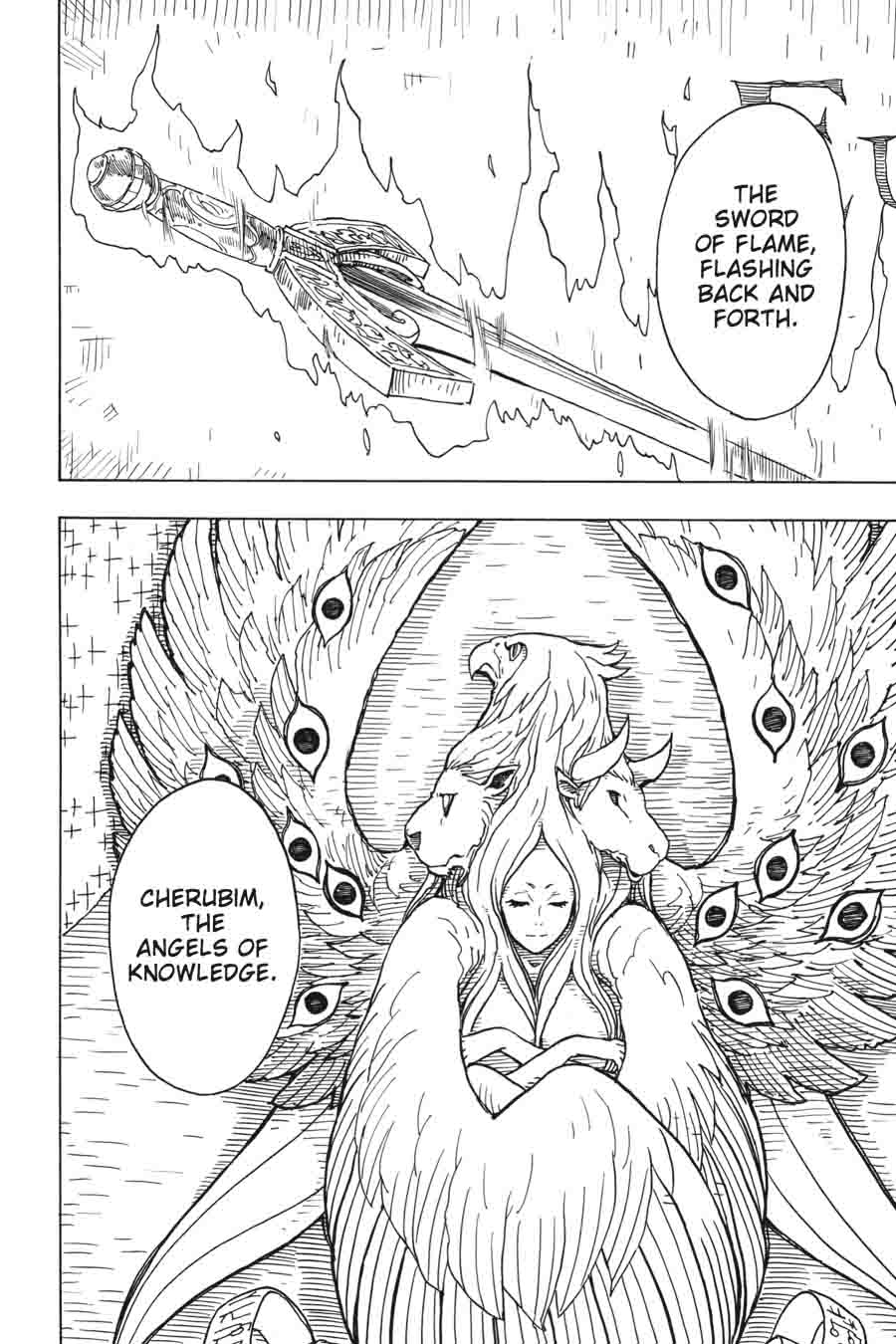 Dimension W 48 6