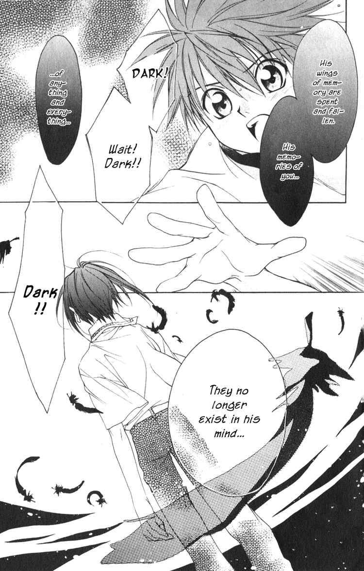 Dn Angel 15 3