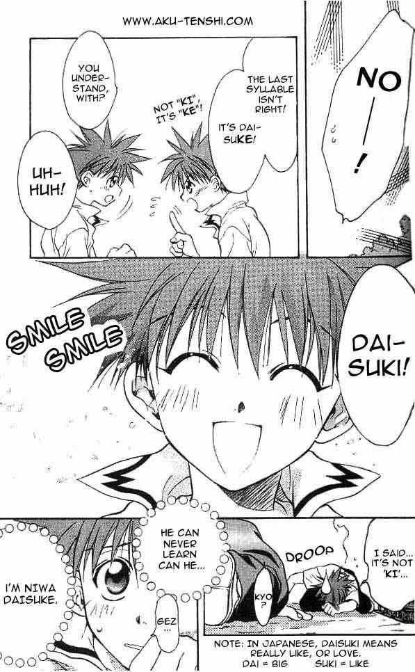 Dn Angel 6 5