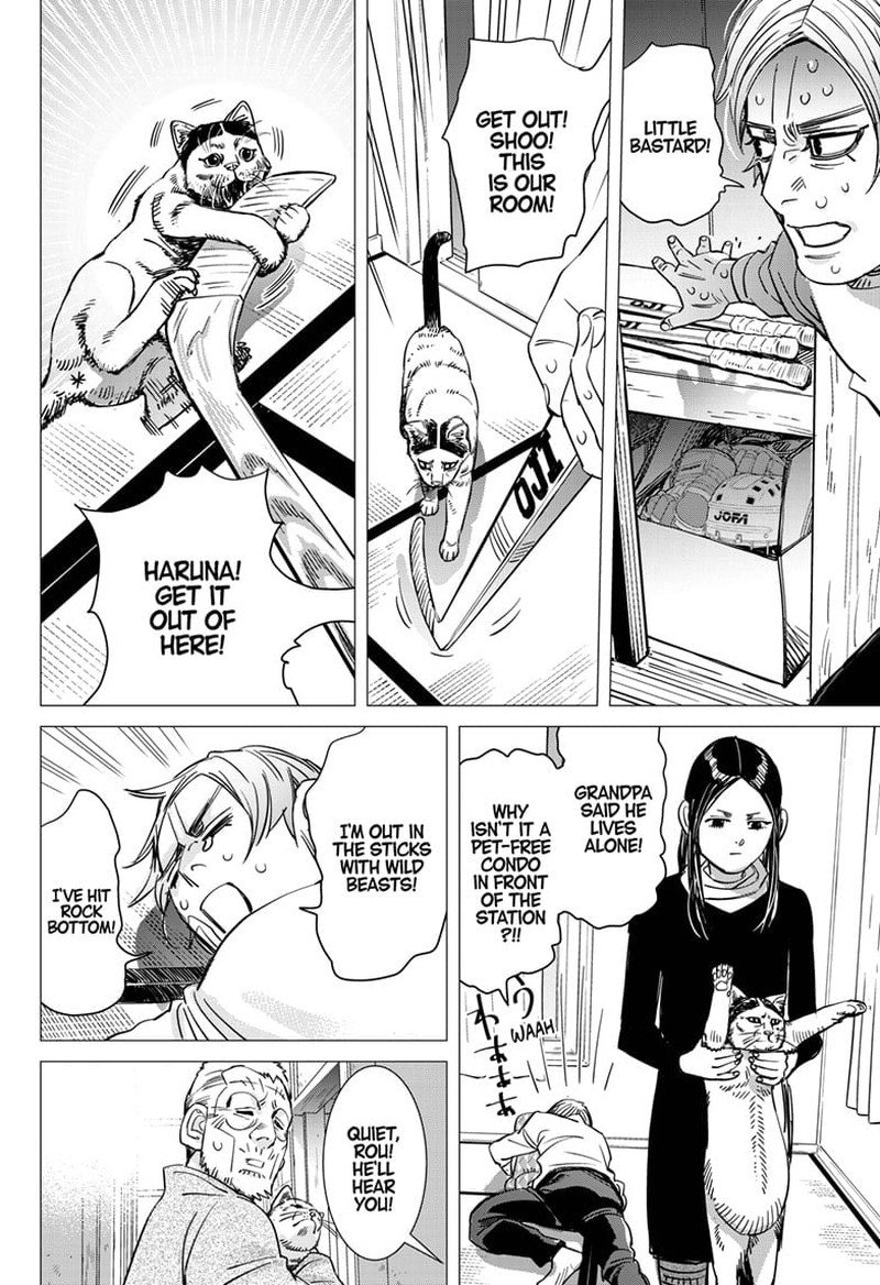 Dogsred 1 42