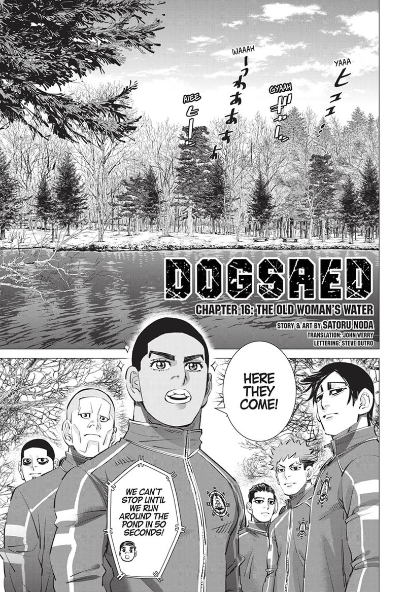 Dogsred 16 1