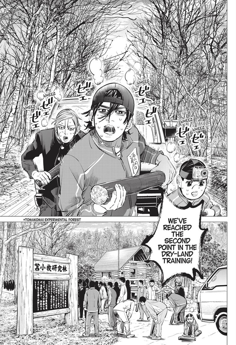 Dogsred 17 4