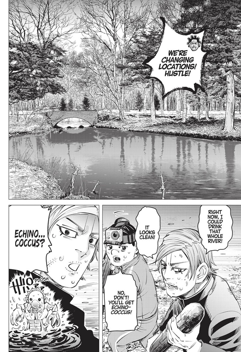 Dogsred 18 8