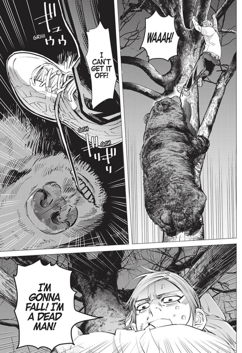 Dogsred 23 11