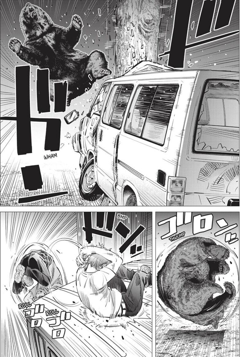 Dogsred 23 13
