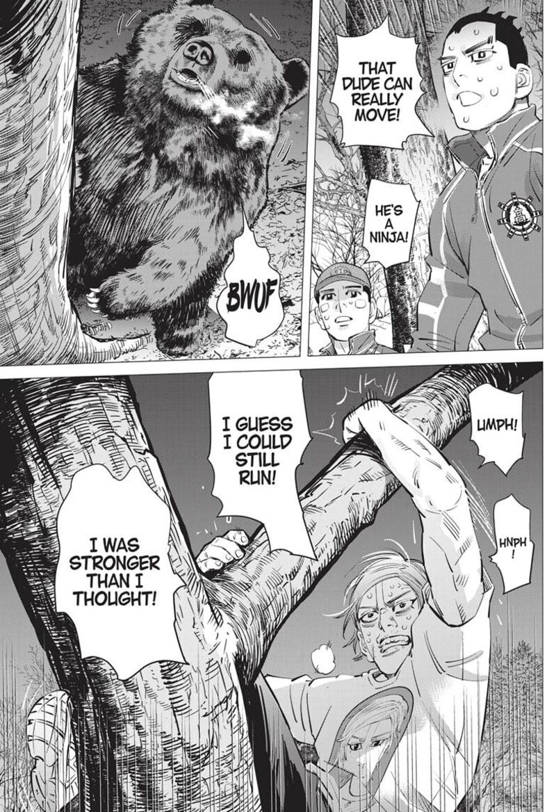 Dogsred 23 9