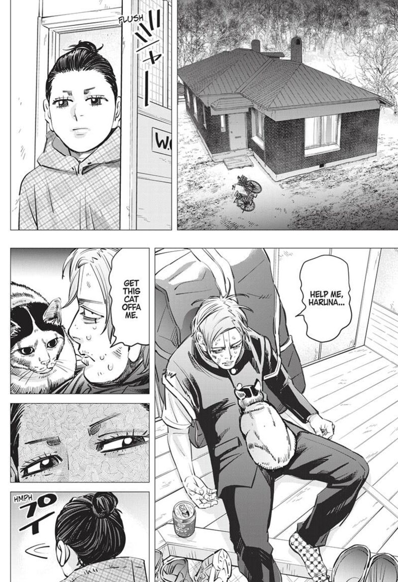 Dogsred 24 6