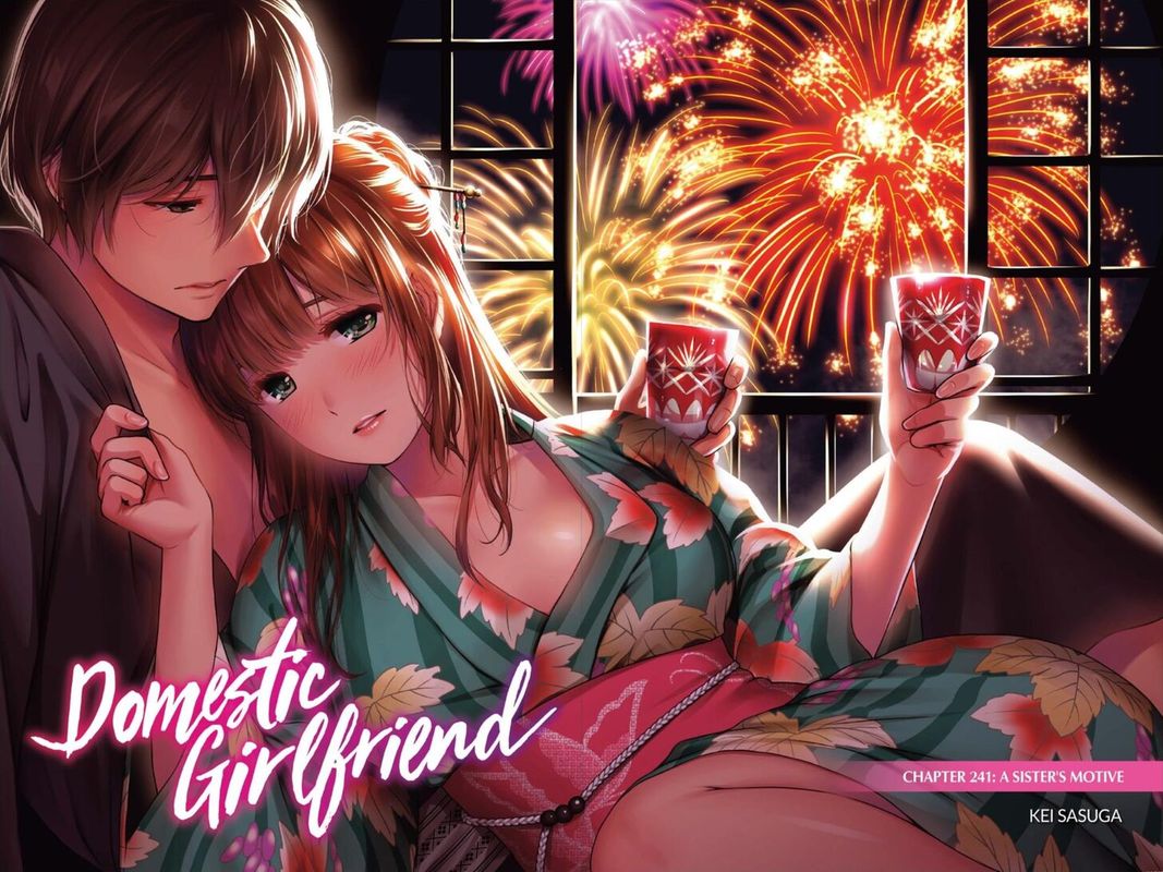Domestic Na Kanojo 241 2