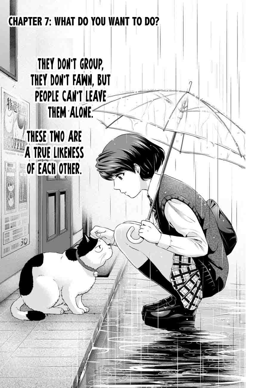 Domestic Na Kanojo 7 1