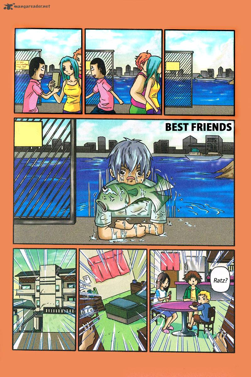 Donkey High School 5 3