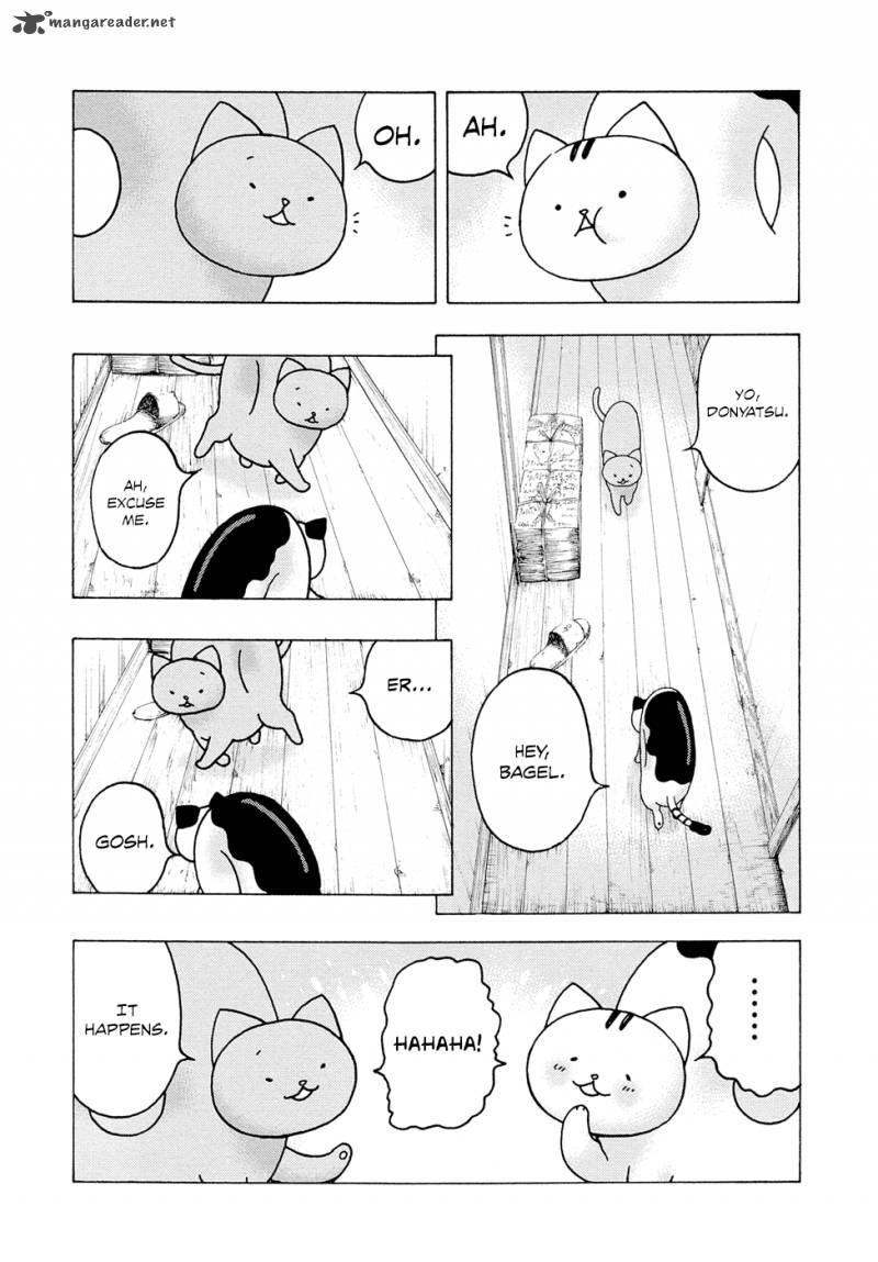 Donyatsu 11 3