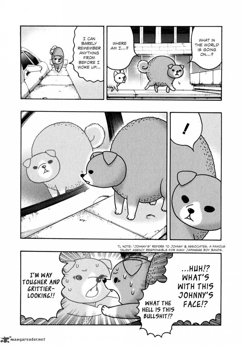 Donyatsu 15 4