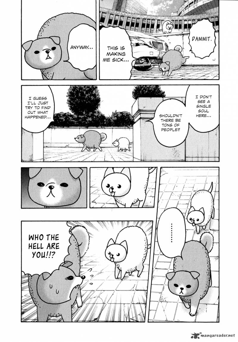 Donyatsu 15 5