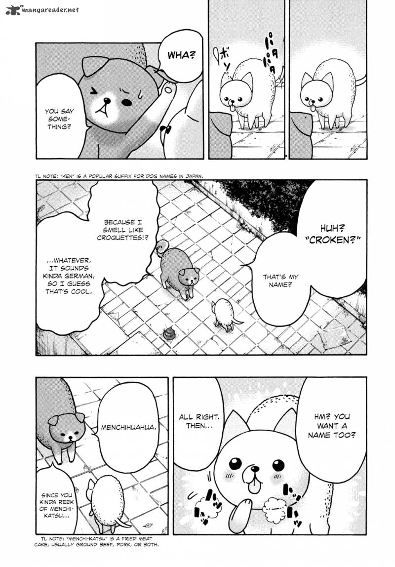 Donyatsu 15 6