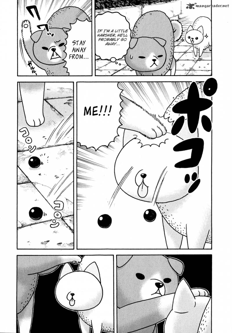 Donyatsu 15 9