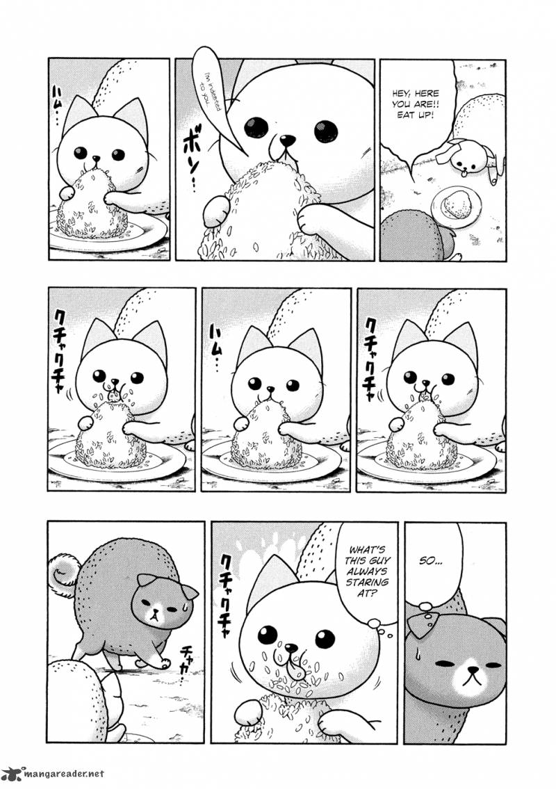 Donyatsu 18 7