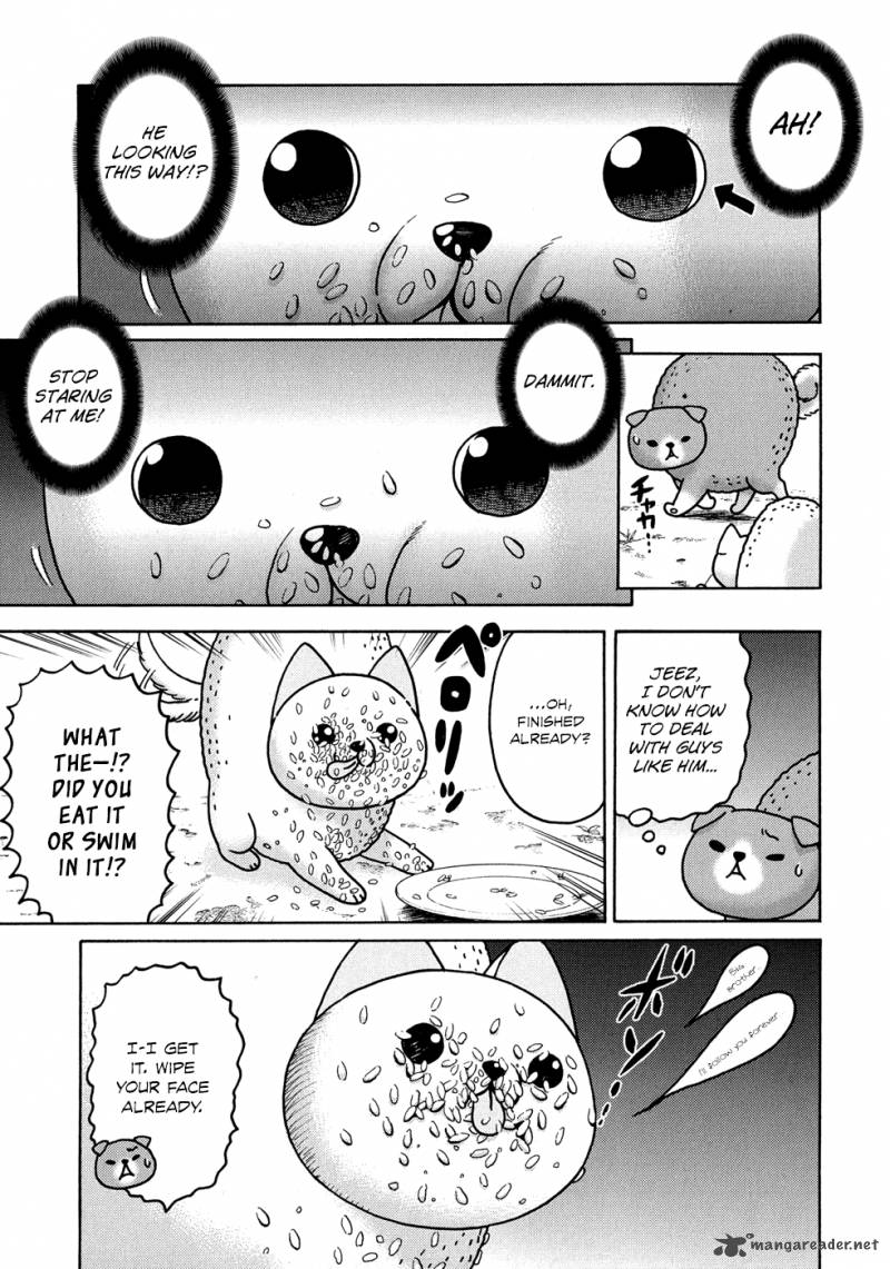 Donyatsu 18 8
