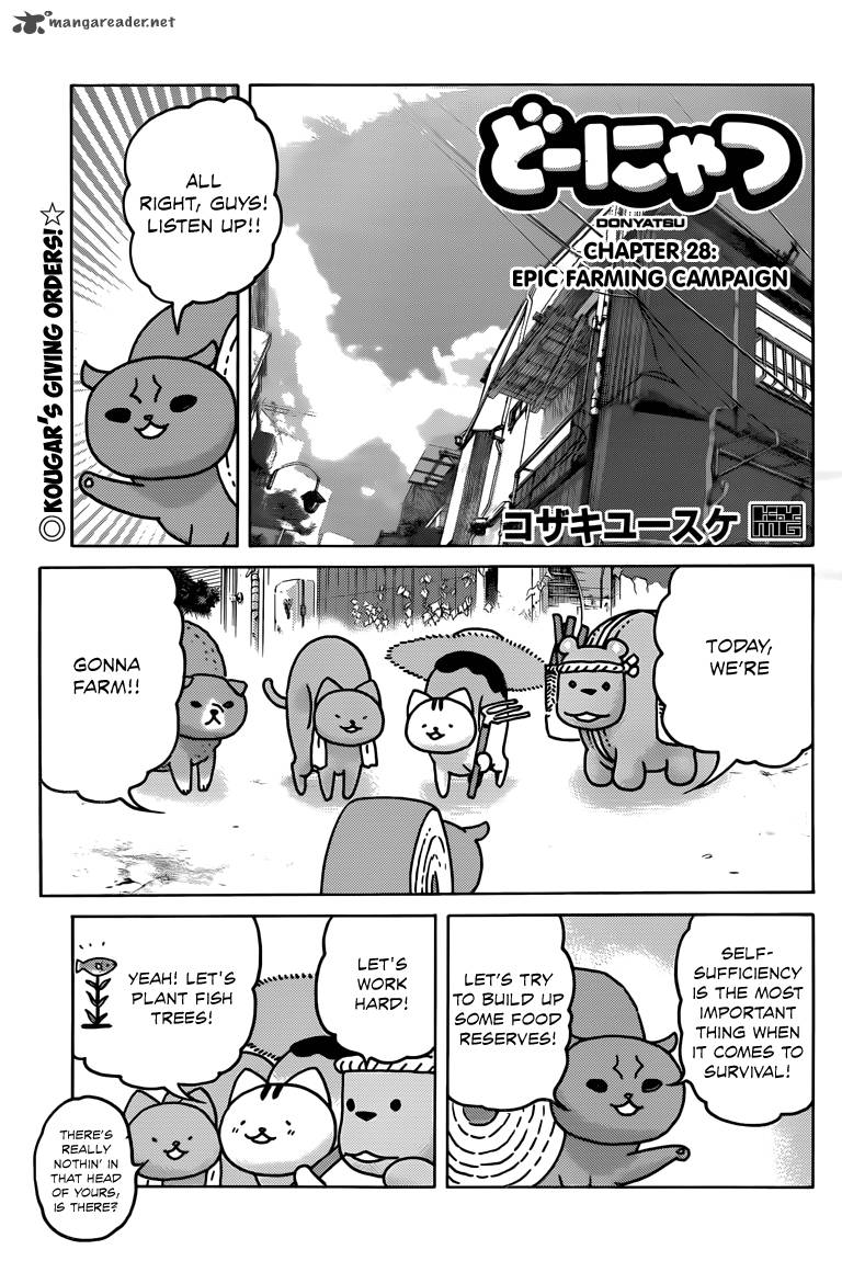 Donyatsu 28 2