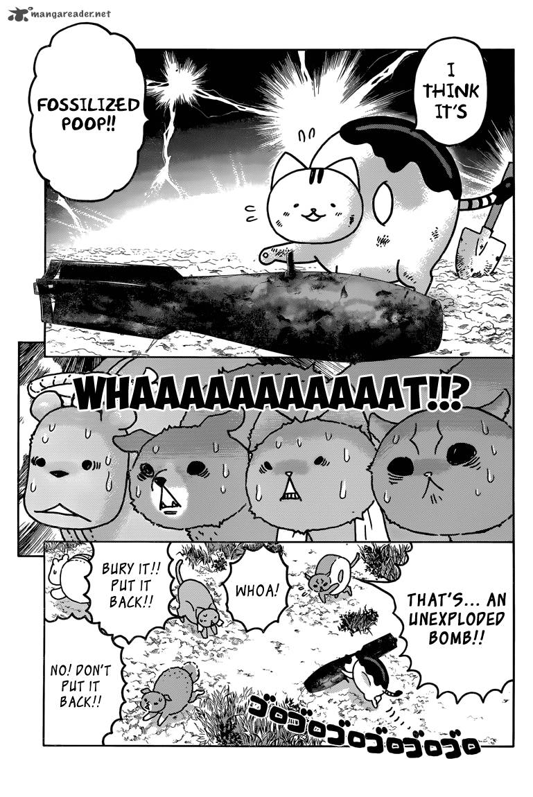 Donyatsu 28 8