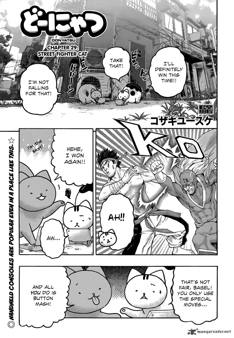 Donyatsu 29 2