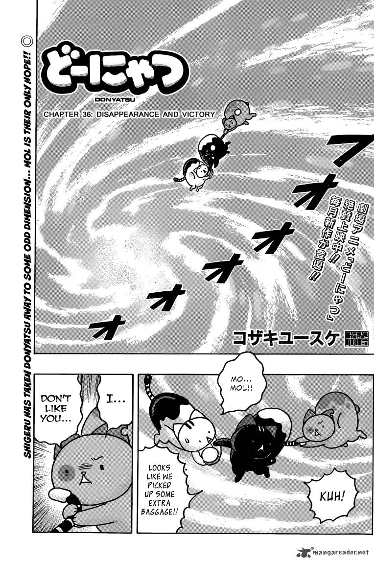 Donyatsu 36 2
