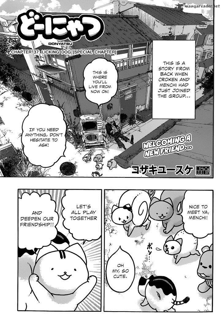 Donyatsu 37 2