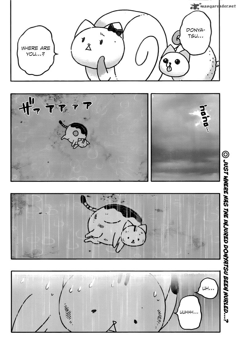 Donyatsu 38 11