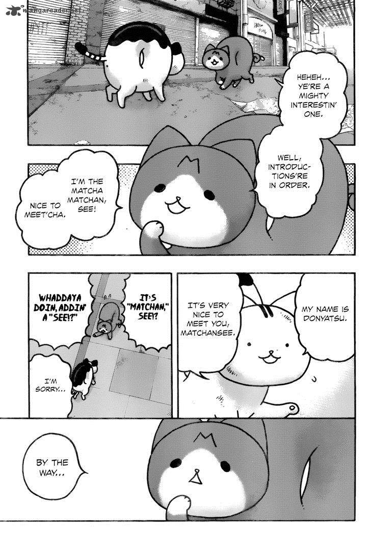 Donyatsu 40 4