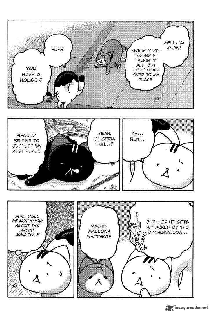 Donyatsu 40 9